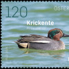 Sonderbriefmarke_Krickente.jpg