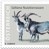 Österreichische Post_Sonderbriefmarke_Blobe Ziege_3.jpg