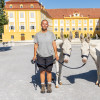 2_BM_Österreichische Post_Weiße Barockesel_Schloss Hof.jpg