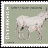 5_BM_Österreichische Post_Weiße Barockesel_Schloss Hof.jpg